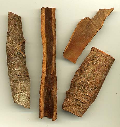 Four dried cassia bark specimens showing layered texture and color variation